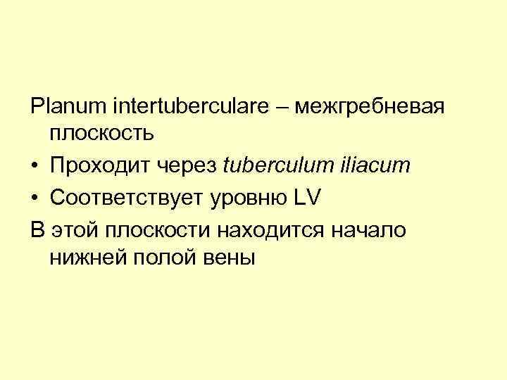 Planum intertuberculare – межгребневая плоскость • Проходит через tuberculum iliacum • Соответствует уровню LV