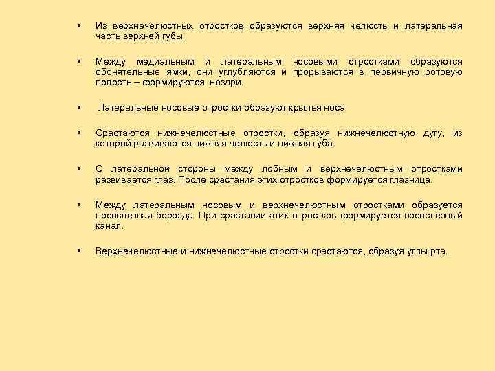  • Из верхнечелюстных отростков образуются верхняя челюсть и латеральная часть верхней губы. •