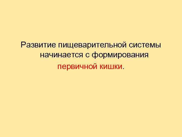 Развитие пищеварительной системы начинается с формирования первичной кишки. 