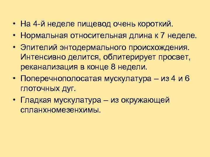  • На 4 -й неделе пищевод очень короткий. • Нормальная относительная длина к