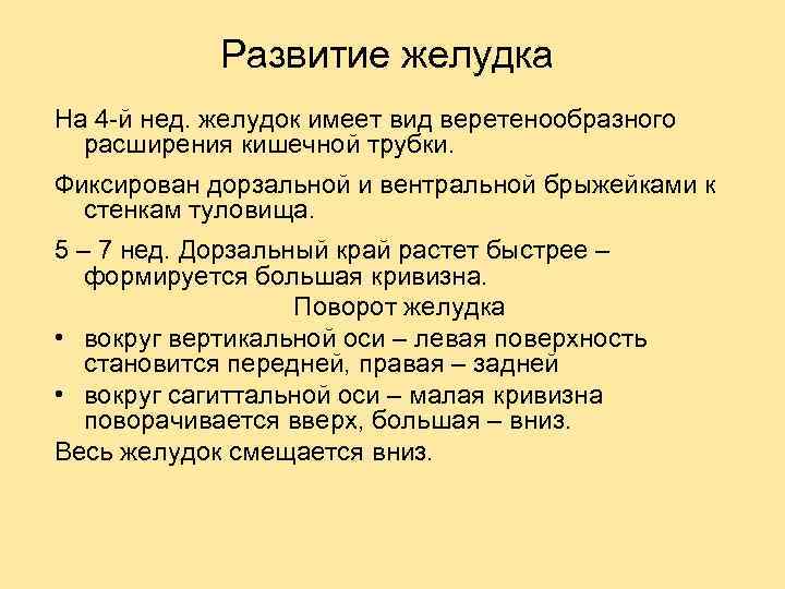 Развитие желудка. Источник развития желудка. Эмбриональные источники развития желудка. Эмбриональное развитие желудка.