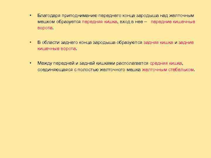  • Благодаря приподниманию переднего конца зародыша над желточным мешком образуется передняя кишка, вход