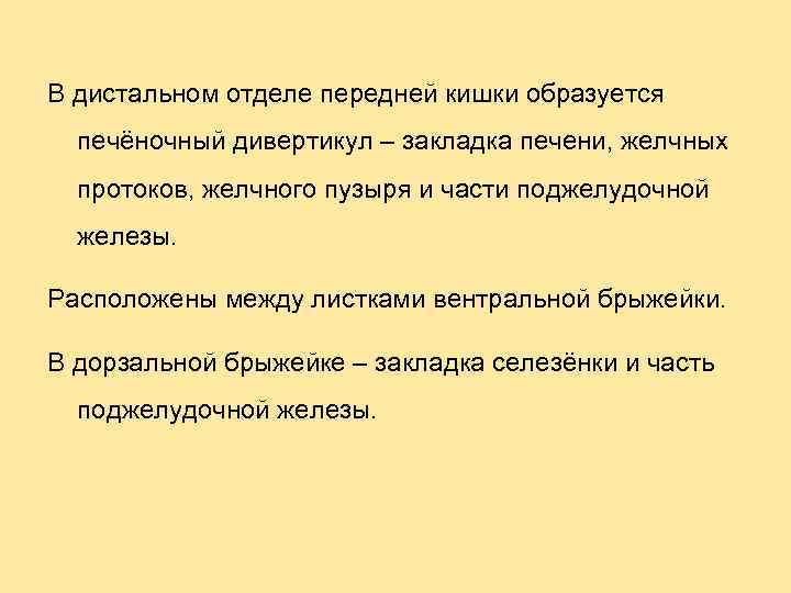 В дистальном отделе передней кишки образуется печёночный дивертикул – закладка печени, желчных протоков, желчного
