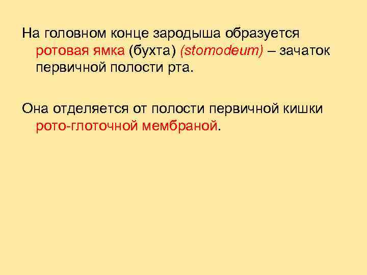 На головном конце зародыша образуется ротовая ямка (бухта) (stomodeum) – зачаток первичной полости рта.
