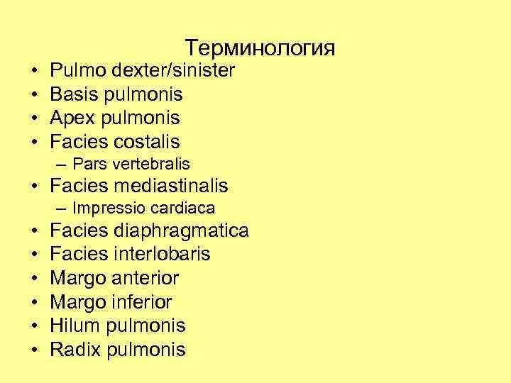  • • Терминология Pulmo dexter/sinister Basis pulmonis Apex pulmonis Facies costalis – Pars