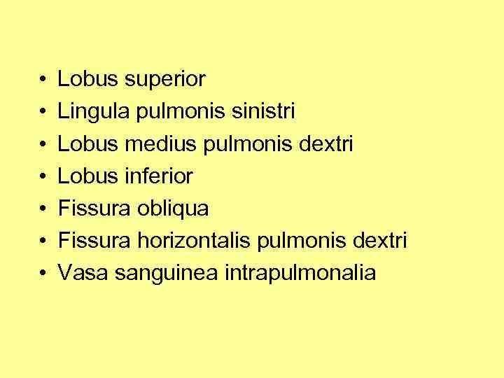  • • Lobus superior Lingula pulmonis sinistri Lobus medius pulmonis dextri Lobus inferior