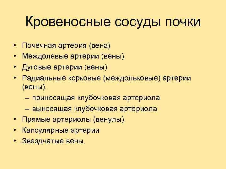 Кровеносные сосуды почки • • Почечная артерия (вена) Междолевые артерии (вены) Дуговые артерии (вены)