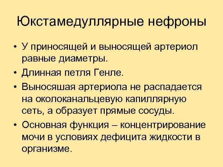 Юкстамедуллярные нефроны • У приносящей и выносящей артериол равные диаметры. • Длинная петля Генле.