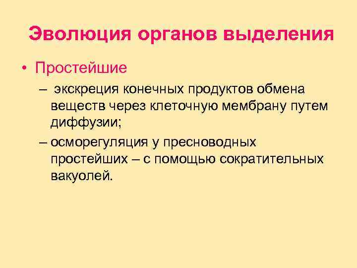 Эволюция органов выделения • Простейшие – экскреция конечных продуктов обмена веществ через клеточную мембрану