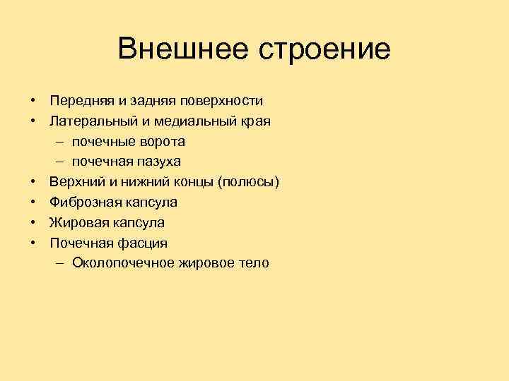 Внешнее строение • Передняя и задняя поверхности • Латеральный и медиальный края – почечные