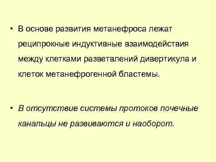  • В основе развития метанефроса лежат реципрокные индуктивные взаимодействия между клетками разветвлений дивертикула