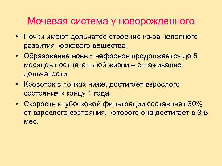 Мочевая система у новорожденного • Почки имеют дольчатое строение из-за неполного развития коркового вещества.