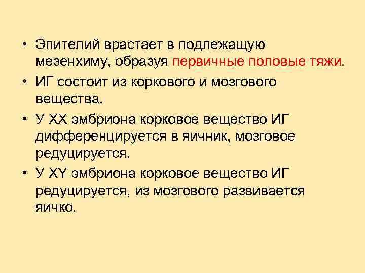  • Эпителий врастает в подлежащую мезенхиму, образуя первичные половые тяжи. • ИГ состоит