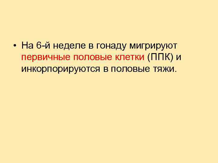  • На 6 -й неделе в гонаду мигрируют первичные половые клетки (ППК) и