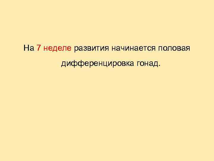 На 7 неделе развития начинается половая дифференцировка гонад. 