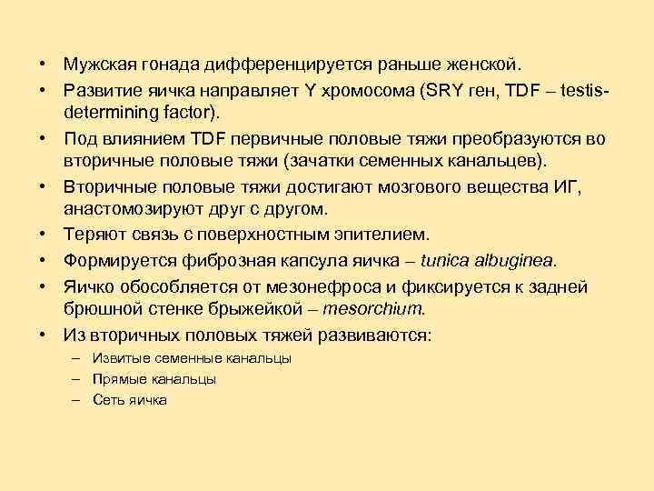  • Мужская гонада дифференцируется раньше женской. • Развитие яичка направляет Y хромосома (SRY