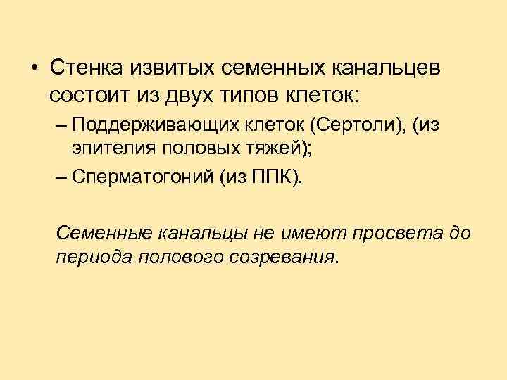  • Стенка извитых семенных канальцев состоит из двух типов клеток: – Поддерживающих клеток