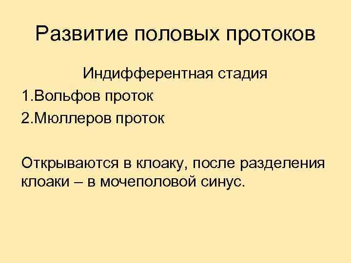 Развитие половых протоков Индифферентная стадия 1. Вольфов проток 2. Мюллеров проток Открываются в клоаку,