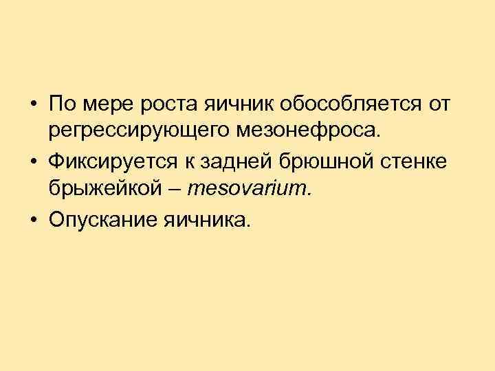  • По мере роста яичник обособляется от регрессирующего мезонефроса. • Фиксируется к задней