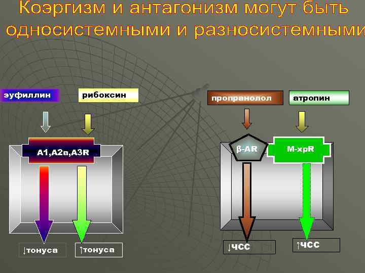 эуфиллин рибоксин А 1, А 2 а, А 3 R ↓тонуса ↑тонуса пропранолол β