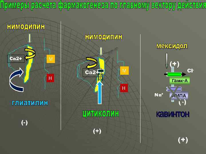 Са 2+ М Н Са 2+ (+) М Cl- Гамк-А Н Na+ АМПА (-)