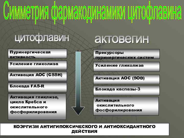 Пуринергическая активность Прекурсоры пуринергических систем Усиление гликолиза Активация АОС (GSSH) Блокада FAS-R Активация гликлиза,