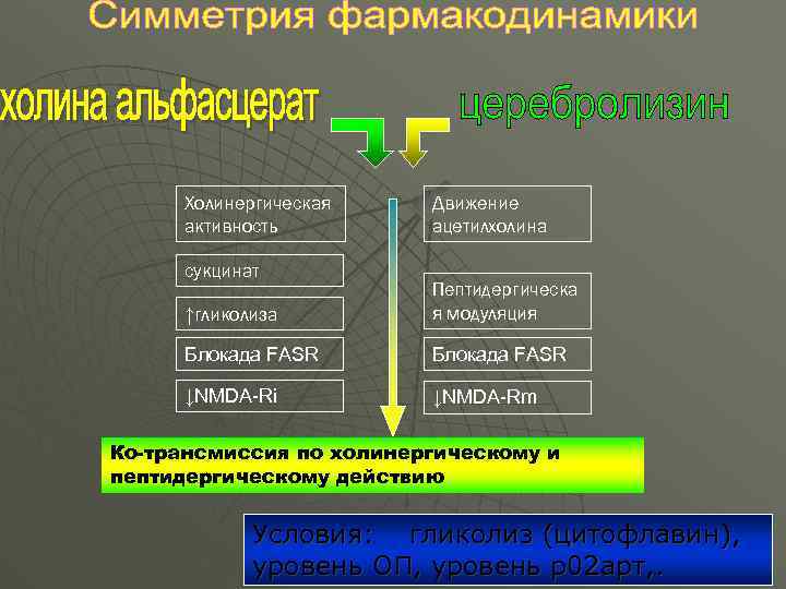 Холинергическая активность сукцинат Движение ацетилхолина ↑гликолиза Пептидергическа я модуляция Блокада FASR ↓NMDA-Ri ↓NMDA-Rm Ко-трансмиссия