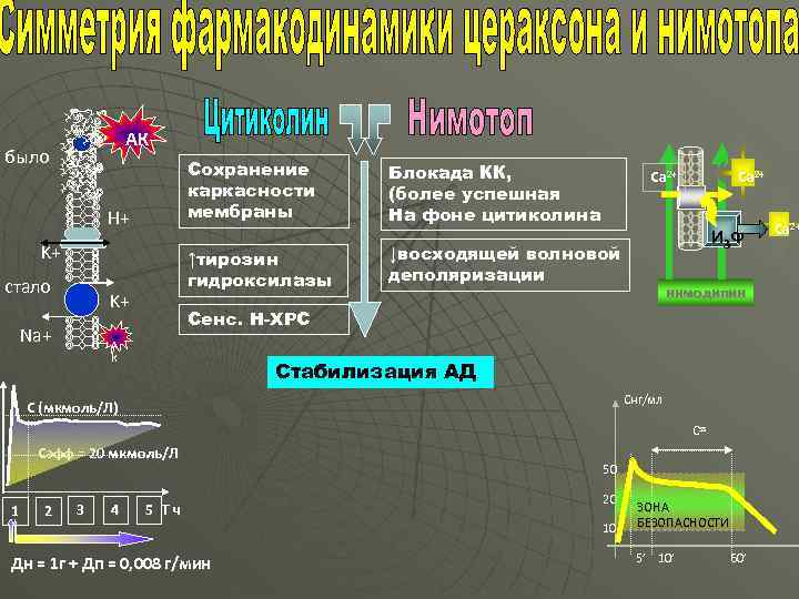 АК было Сохранение каркасности мембраны ↑тирозин гидроксилазы H+ K+ стало K+ Na+ Блокада КК,