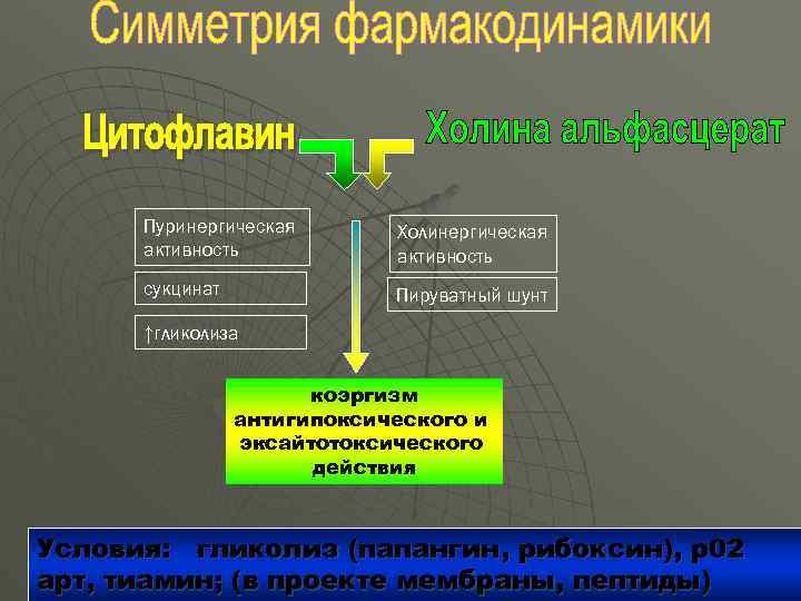 Пуринергическая активность Холинергическая активность сукцинат Пируватный шунт ↑гликолиза коэргизм антигипоксического и эксайтотоксического действия Условия: