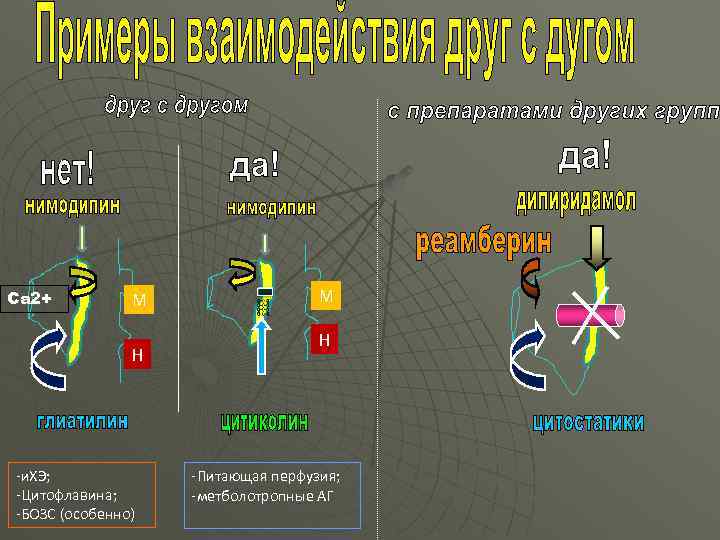 Са 2+ М Н -и. ХЭ; -Цитофлавина; -БОЗС (особенно) М Н -Питающая перфузия; -метболотропные