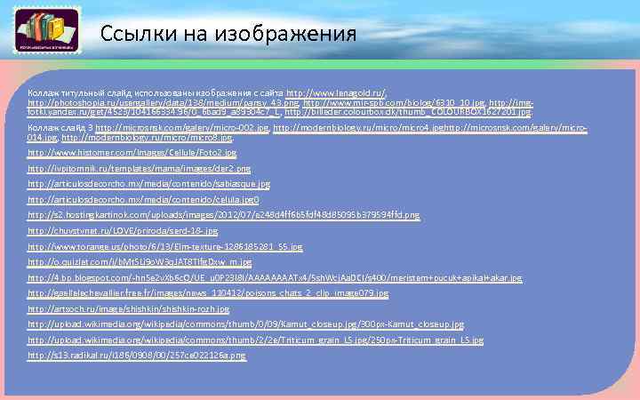 Ссылки на изображения Коллаж титульный слайд использованы изображения с сайта http: //www. lenagold. ru/,