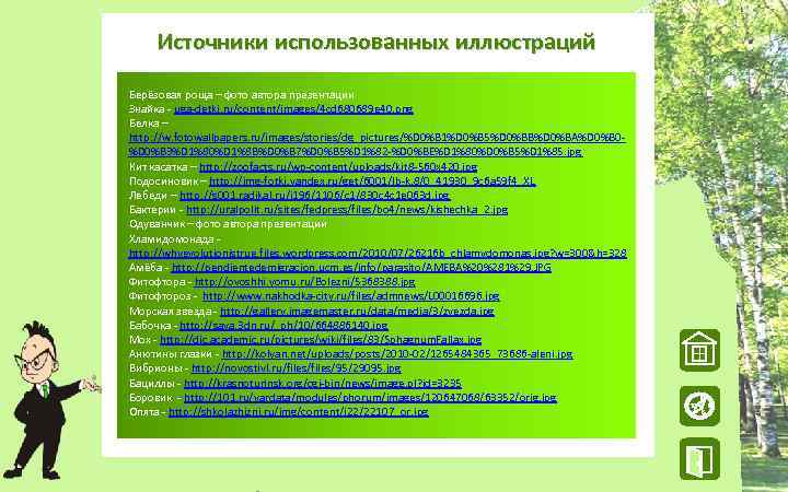 Источники использованных иллюстраций Берёзовая роща – фото автора презентации Знайка - uga-detki. ru/content/images/4 cd
