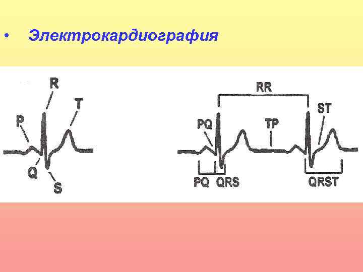  • Электрокардиография 