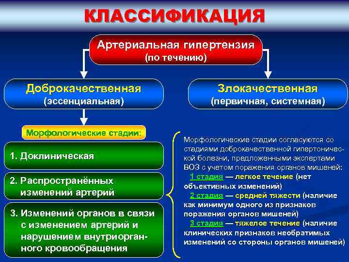 КЛАССИФИКАЦИЯ Артериальная гипертензия (по течению) Доброкачественная Злокачественная (эссенциальная) (первичная, системная) Морфологические стадии: 1. Доклиническая