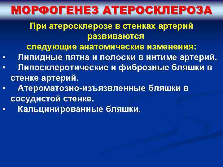 МОРФОГЕНЕЗ АТЕРОСКЛЕРОЗА • • При атеросклерозе в стенках артерий развиваются следующие анатомические изменения: Липидные