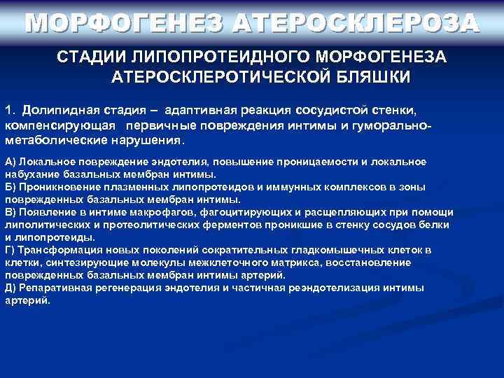 МОРФОГЕНЕЗ АТЕРОСКЛЕРОЗА СТАДИИ ЛИПОПРОТЕИДНОГО МОРФОГЕНЕЗА АТЕРОСКЛЕРОТИЧЕСКОЙ БЛЯШКИ 1. Долипидная стадия – адаптивная реакция сосудистой