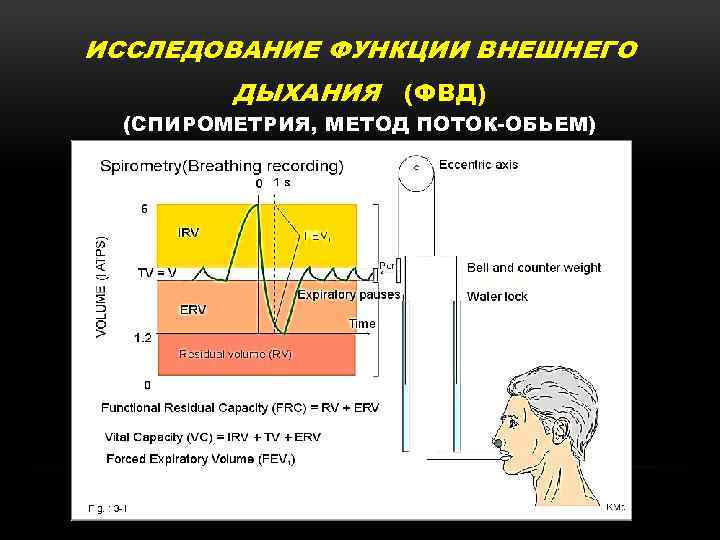 ИССЛЕДОВАНИЕ ФУНКЦИИ ВНЕШНЕГО ДЫХАНИЯ (ФВД) (СПИРОМЕТРИЯ, МЕТОД ПОТОК-ОБЬЕМ) 