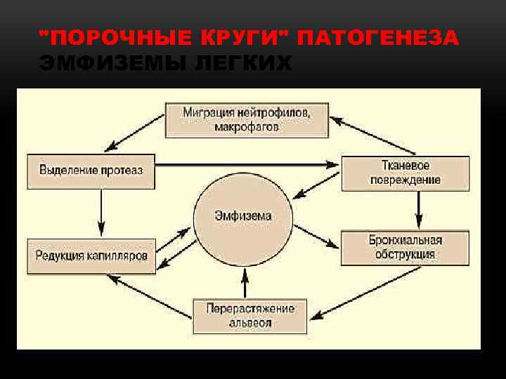"ПОРОЧНЫЕ КРУГИ" ПАТОГЕНЕЗА ЭМФИЗЕМЫ ЛЕГКИХ 