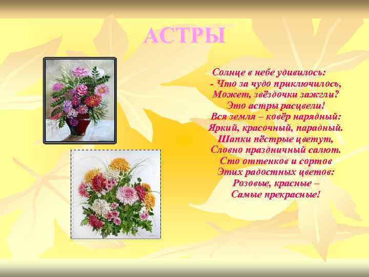 АСТРЫ Солнце в небе удивилось: - Что за чудо приключилось, Может, звёздочки зажгли? Это