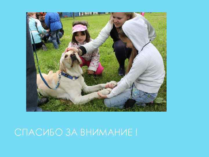 СПАСИБО ЗА ВНИМАНИЕ ! 