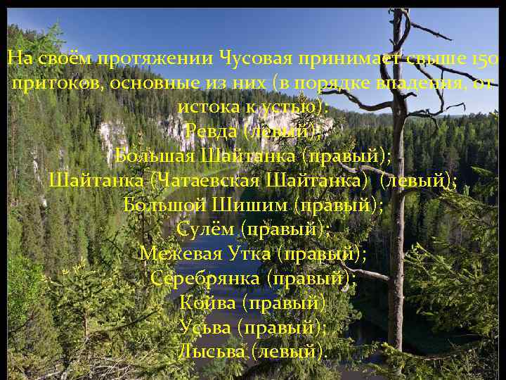 На своём протяжении Чусовая принимает свыше 150 притоков, основные из них (в порядке впадения,