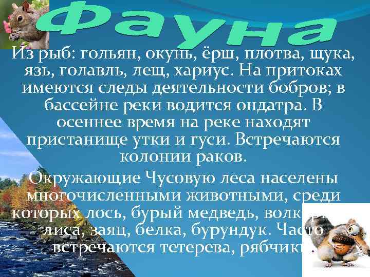Из рыб: гольян, окунь, ёрш, плотва, щука, язь, голавль, лещ, хариус. На притоках имеются