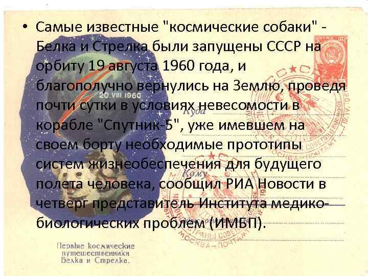 • Самые известные "космические собаки" - Белка и Стрелка были запущены СССР на