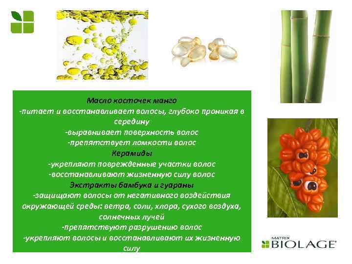 Масло косточек манго -питает и восстанавливает волосы, глубоко проникая в середину -выравнивает поверхность волос