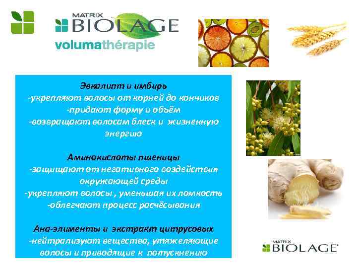 Эвкалипт и имбирь -укрепляют волосы от корней до кончиков -придают форму и объём -возвращают