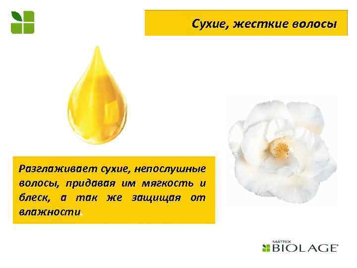 Сухие, жесткие волосы Разглаживает сухие, непослушные волосы, придавая им мягкость и блеск, а так