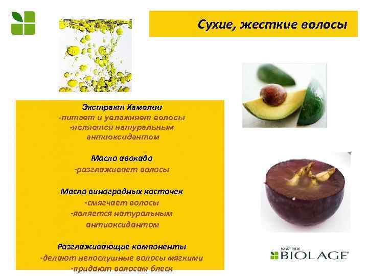 Сухие, жесткие волосы Экстракт Камелии -питает и увлажняет волосы -является натуральным антиоксидантом Масло авокадо
