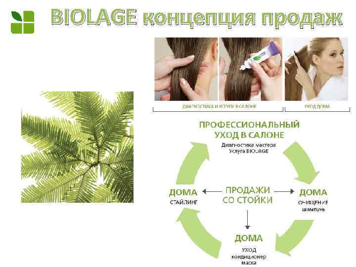 BIOLAGE концепция продаж 