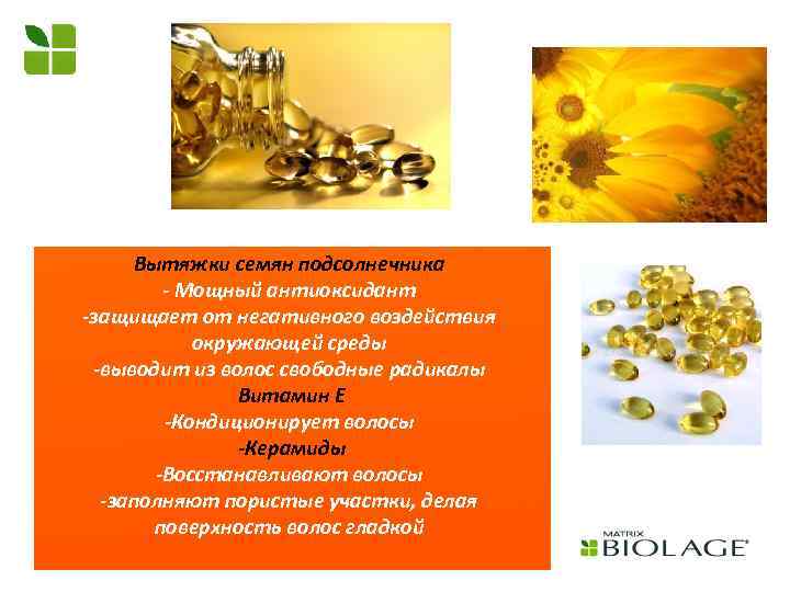 Вытяжки семян подсолнечника - Мощный антиоксидант -защищает от негативного воздействия окружающей среды -выводит из