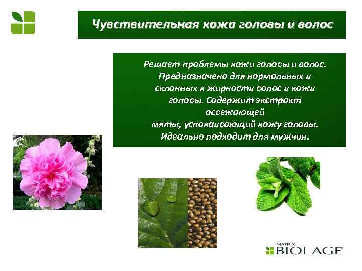 Чувствительная кожа головы и волос Решает проблемы кожи головы и волос. Предназначена для нормальных